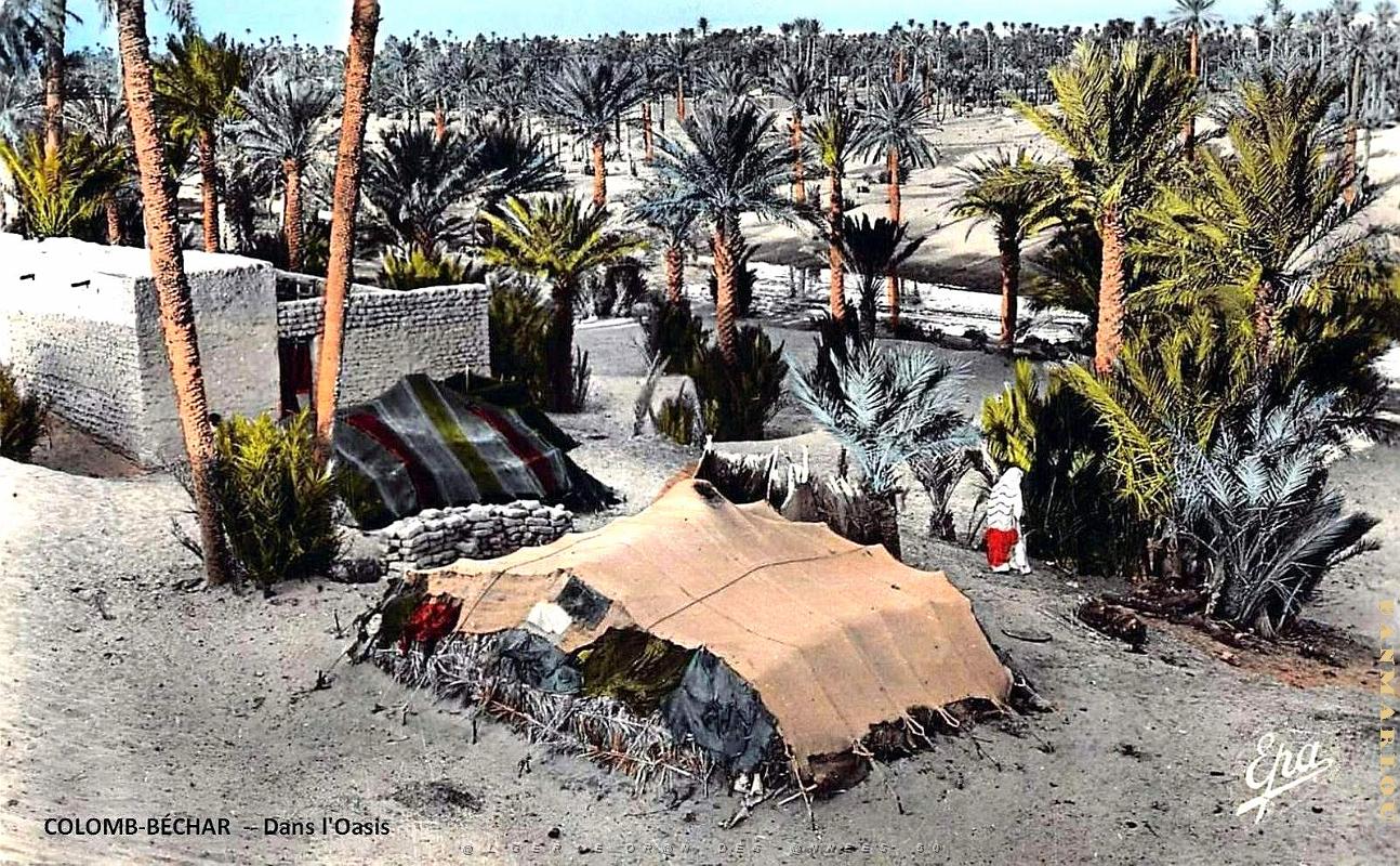 Colomb-Bechar - Dans l'Oasis.jpg